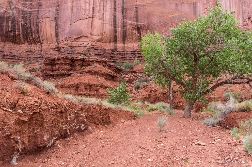 Oljato-Monument Valley