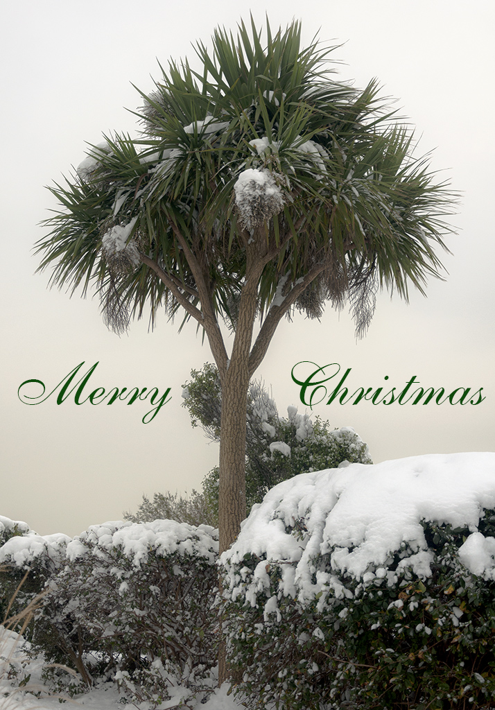 Weso�ych �wi�t!