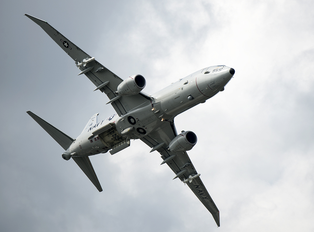 Pi�kny a gro�ny ptak