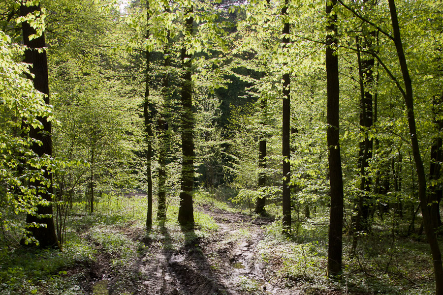 Wiosna na Wschodzie
