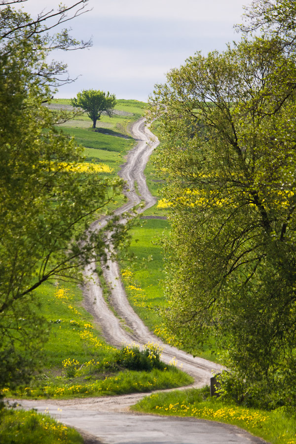 "Long and winding road......"