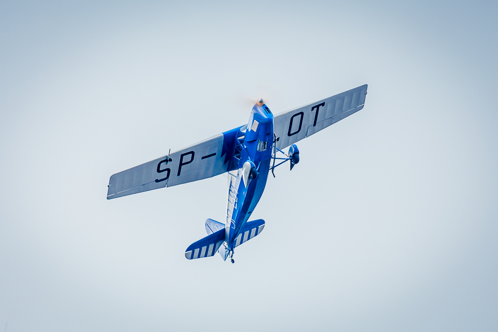 SP-LOT