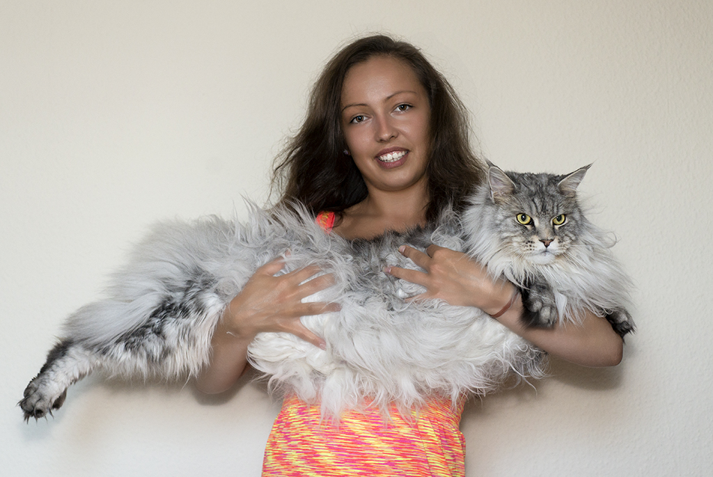 Kociak z kociakiem...