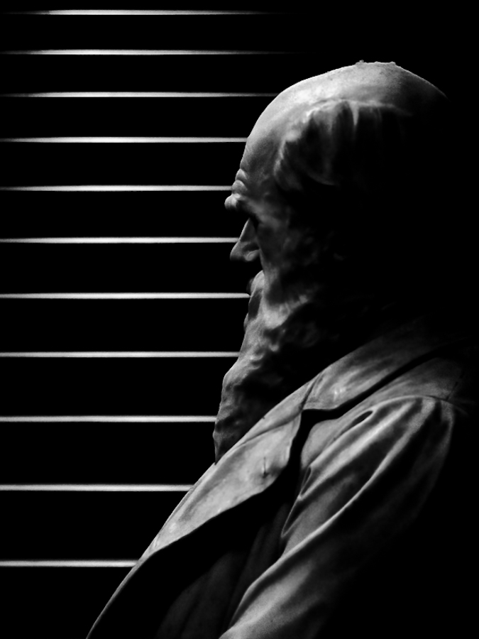 Darwin - digitalizacja