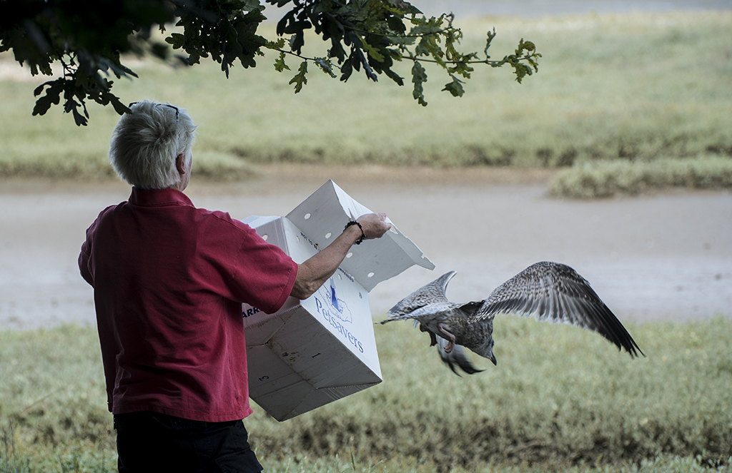 Pewnego pi�knego popo�udnia...