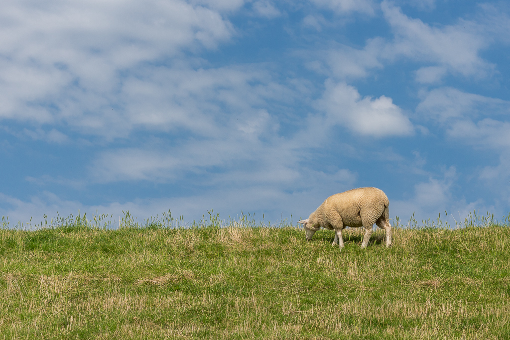 Pozdrowienia z wakacji :)