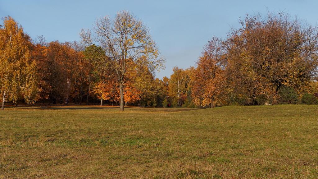 Czowiek w czerwonej kurtce idcy o zotej godzinie przez park