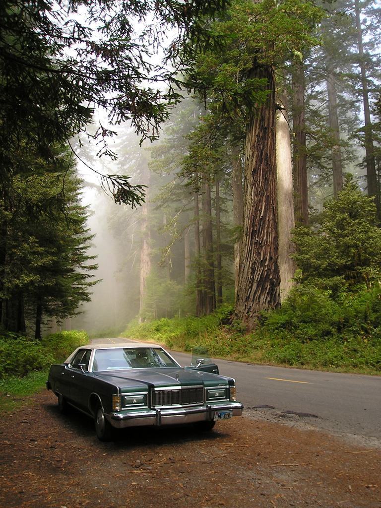 Park Narodowy Redwood, CA