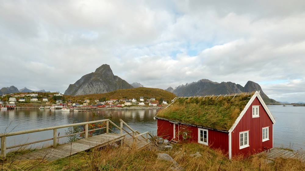 Reine
