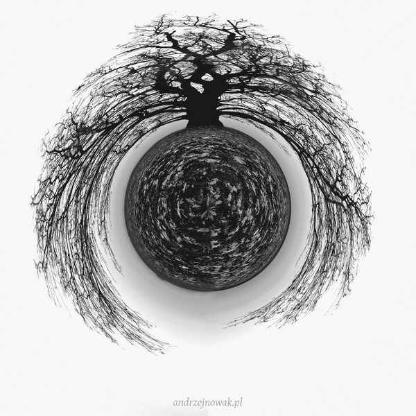 Planeta