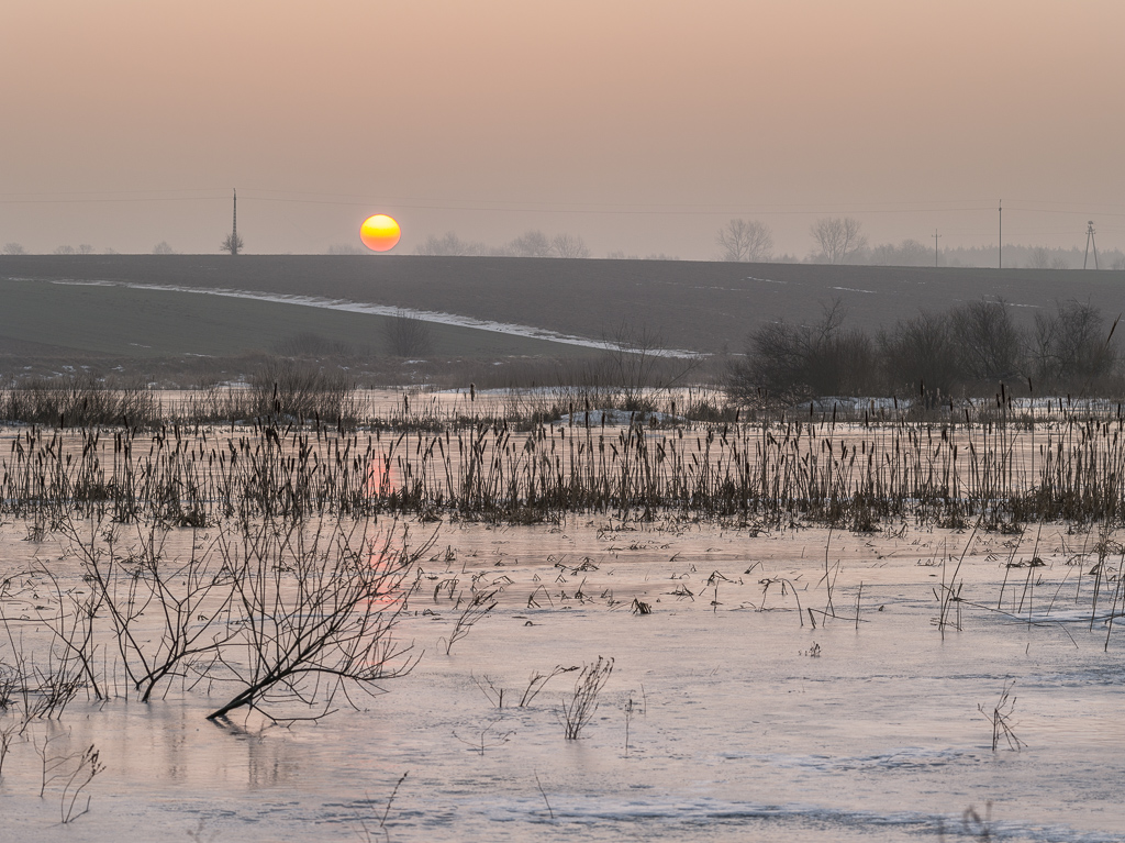 Mokrada Pyszka