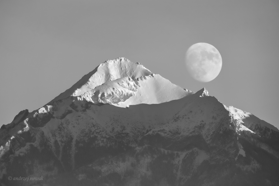 Tatry