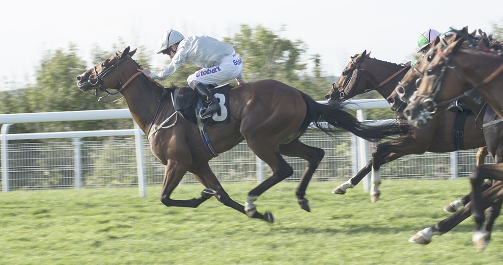 2018 Qatar Goodwood Festiwal