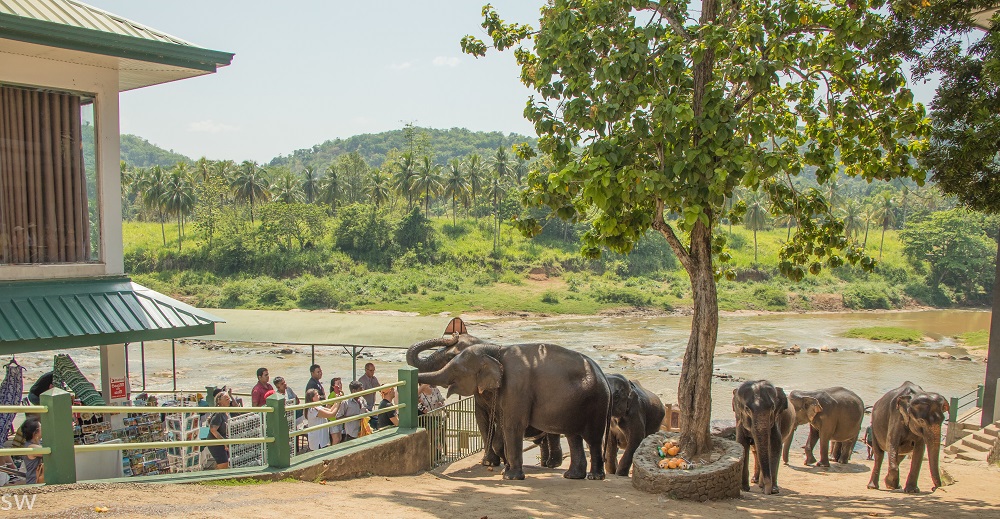 Sri Lanka w marcu