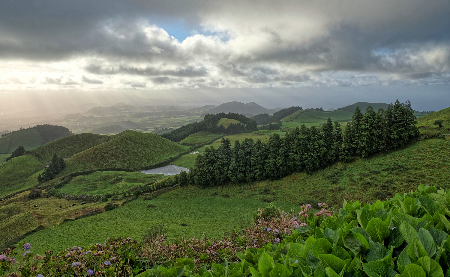 Sao Miguel