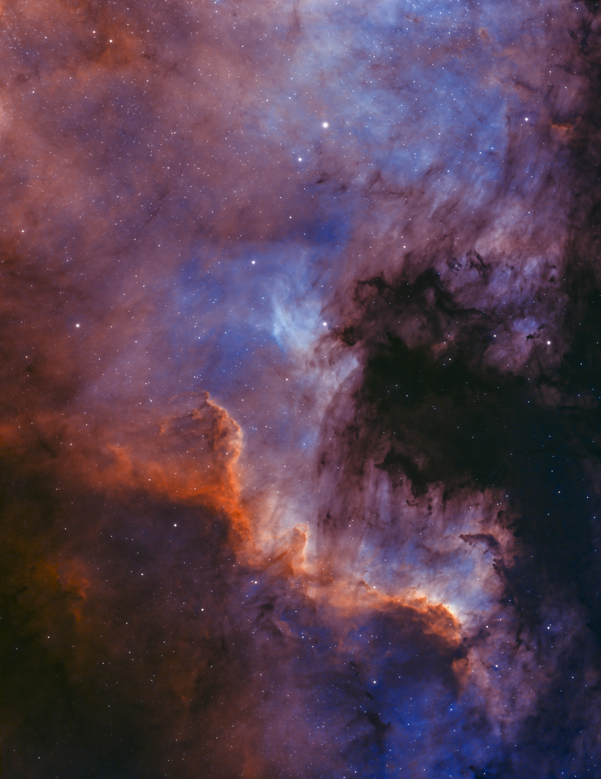 NGC7000_Mgawica Ameryka Pnocna