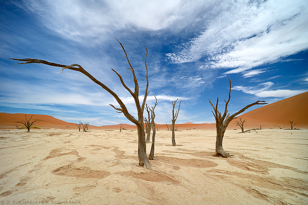 Dead Vlei