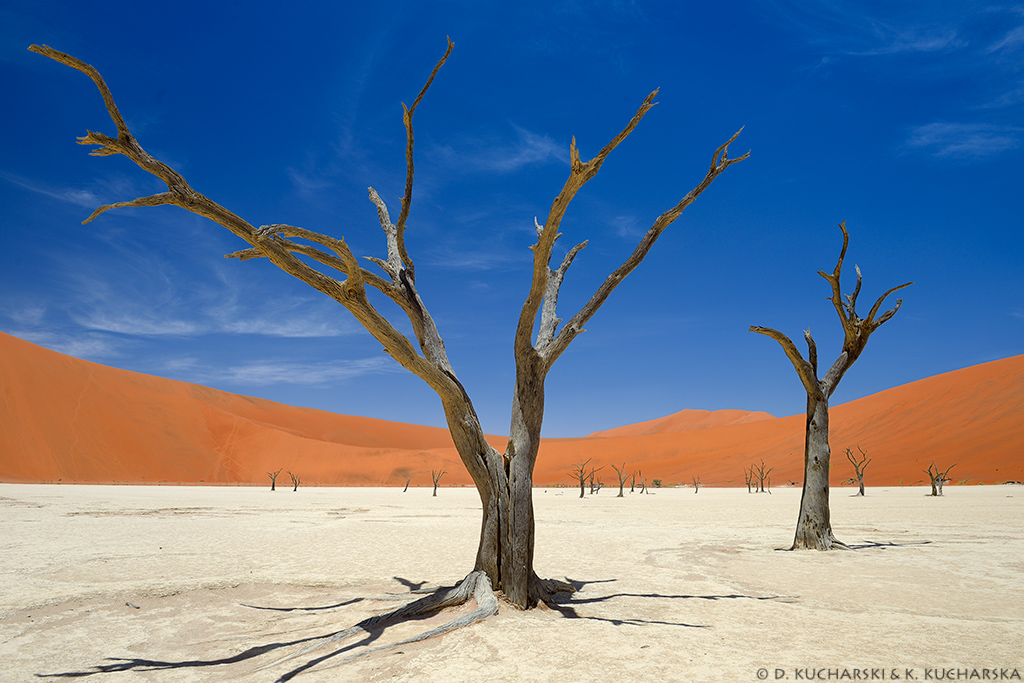 Deadvlei