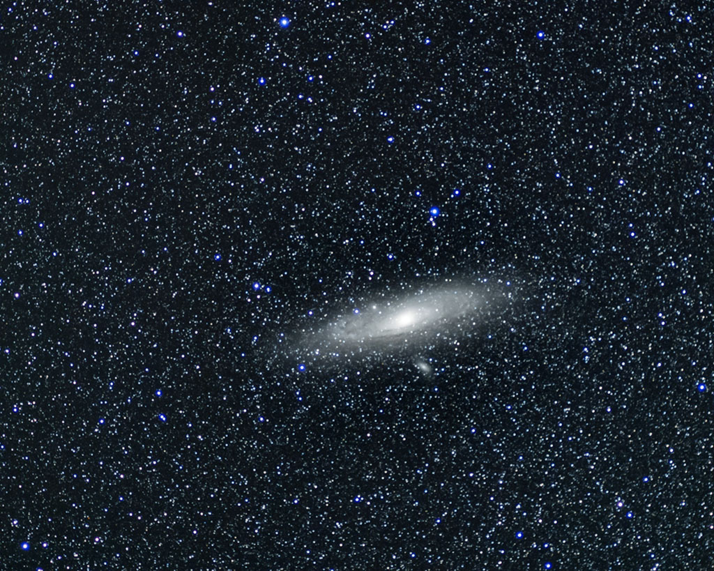 M31