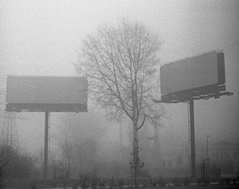 jesie�, spad�y wszystkie li�cie