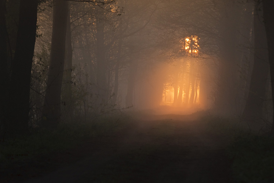 Kiedy nastanie �wit I