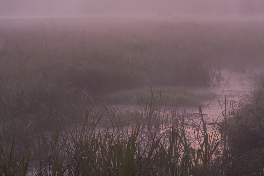 Kiedy nastanie �wit V