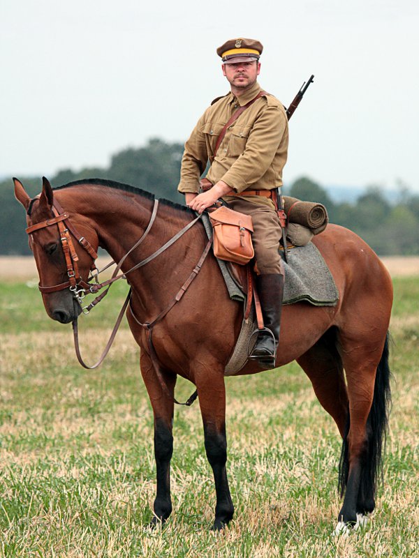 Portret konny II