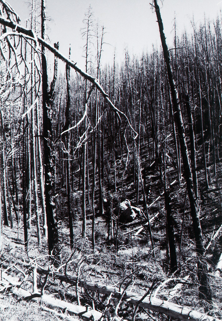 Z "analogowej" szuflady: "Spalony"