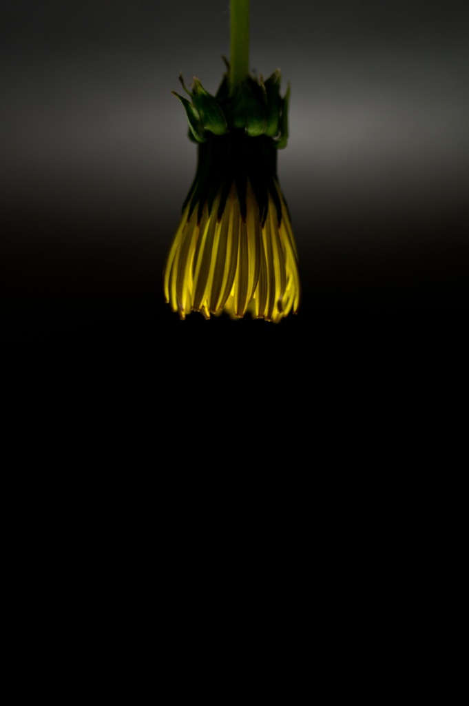 Lampa