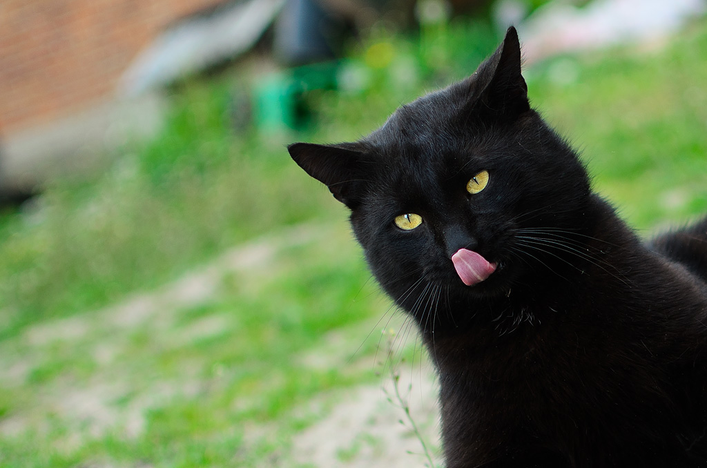 Stefan! Zr�b to jeszcze raz..