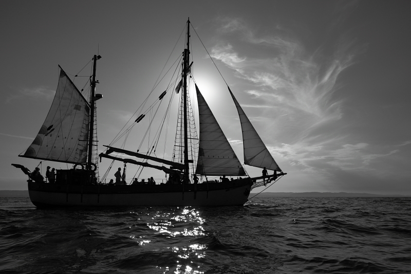 Zlot Baltic Sail Gdask 2011