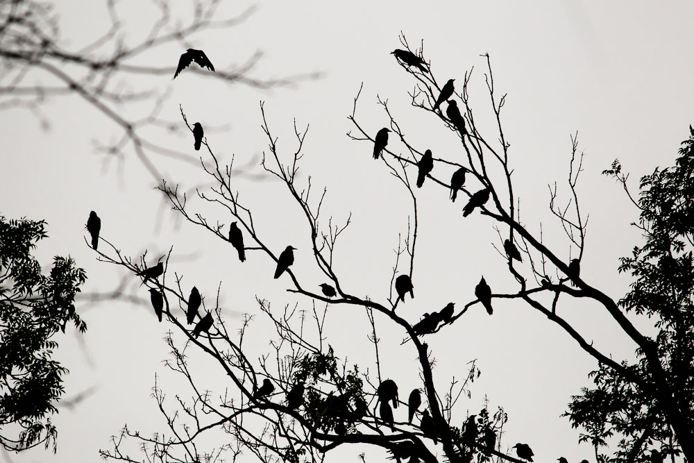 IV Zlot Czytelnik�w Optyczne.pl