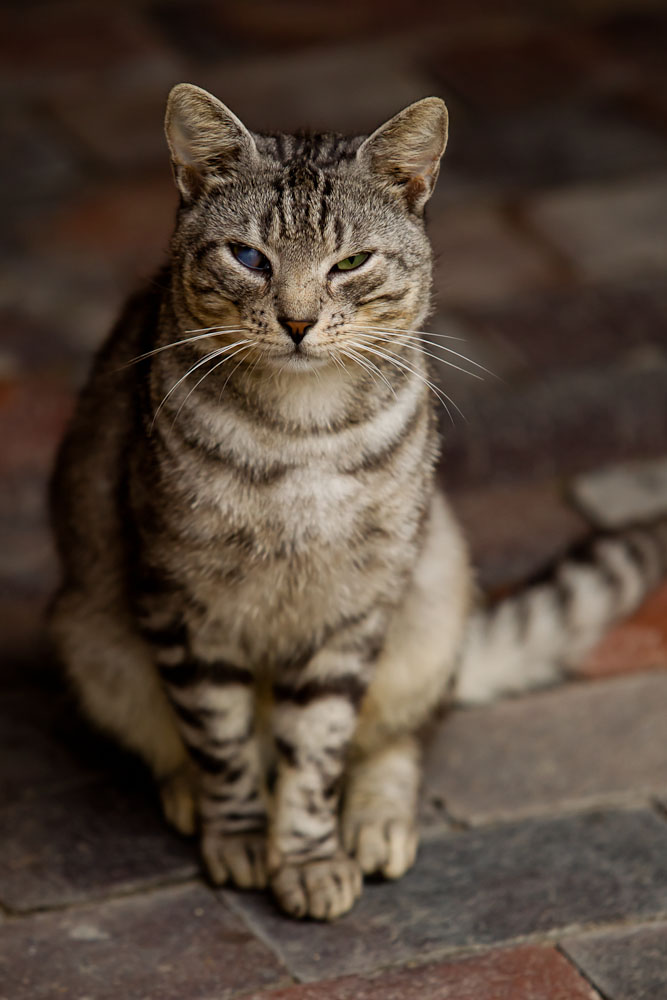 IV Zlot Czytelnik�w Optyczne.pl