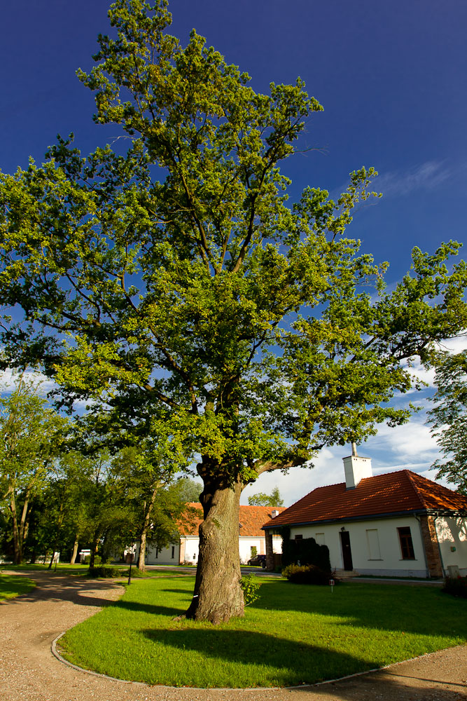 IV Zlot Czytelnik�w Optyczne.pl