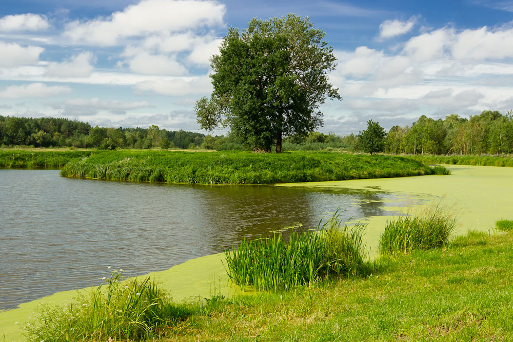 IV Zlot Czytelnik�w Optyczne.pl