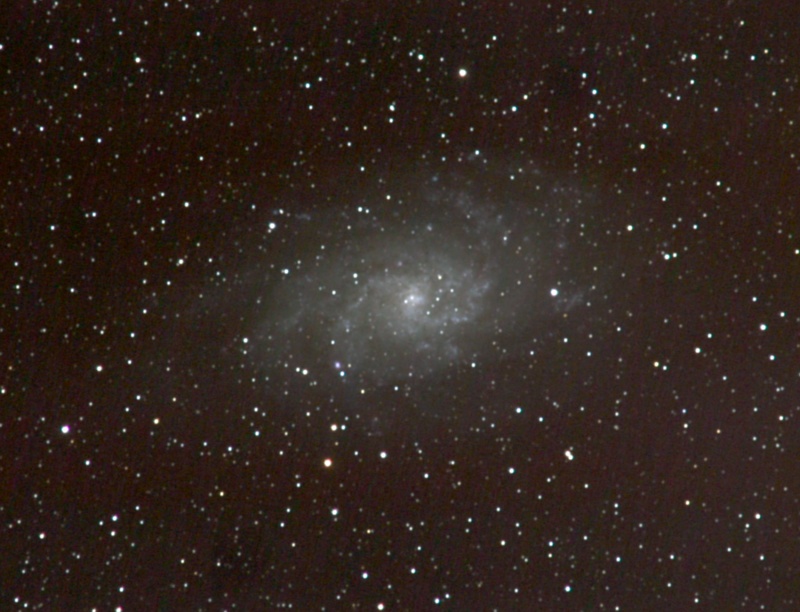 M33