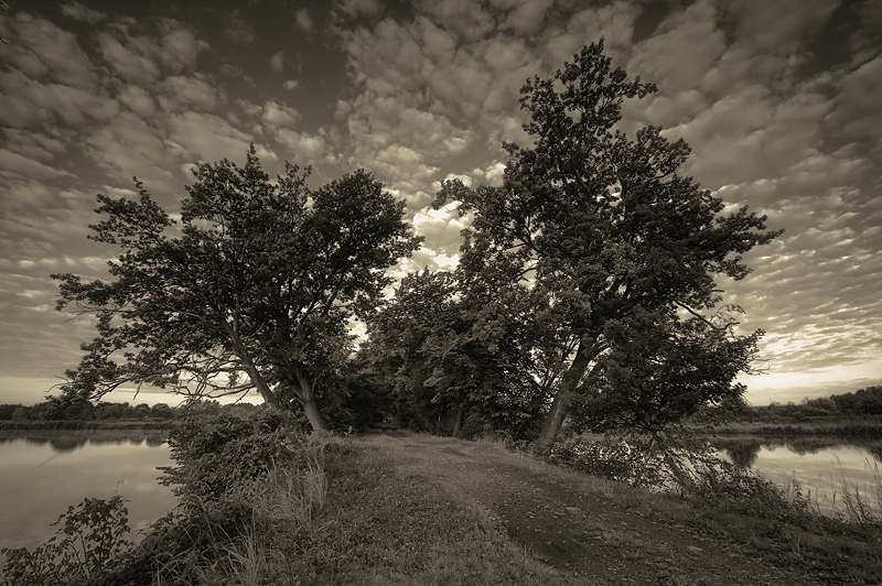 Ni to B&W