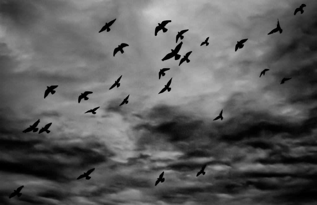 Dramatic sraks 2