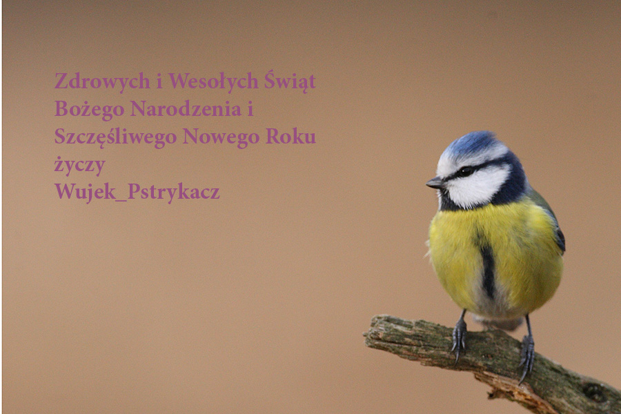 Wesoych wit i Szczliwego Nowego Roku