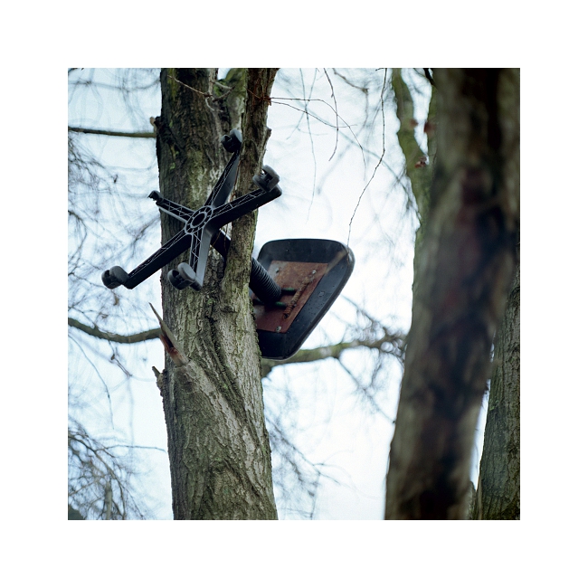 Idzie wiosna, na drzewach zakwit�y pierwsze fotele.