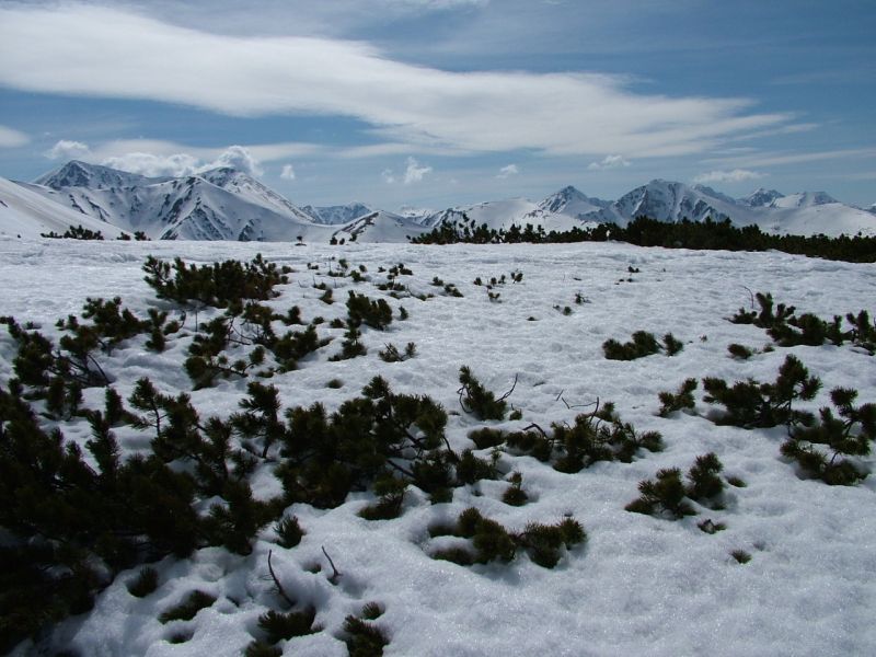 Tatry Zachodnie z Suchergo Ornaku 2