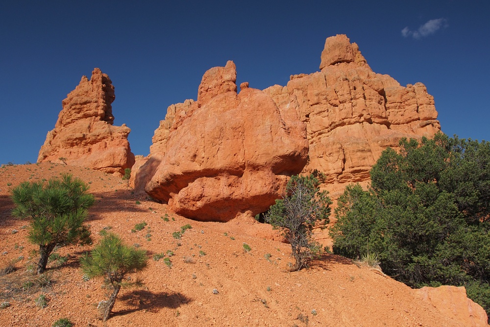Red Canyon