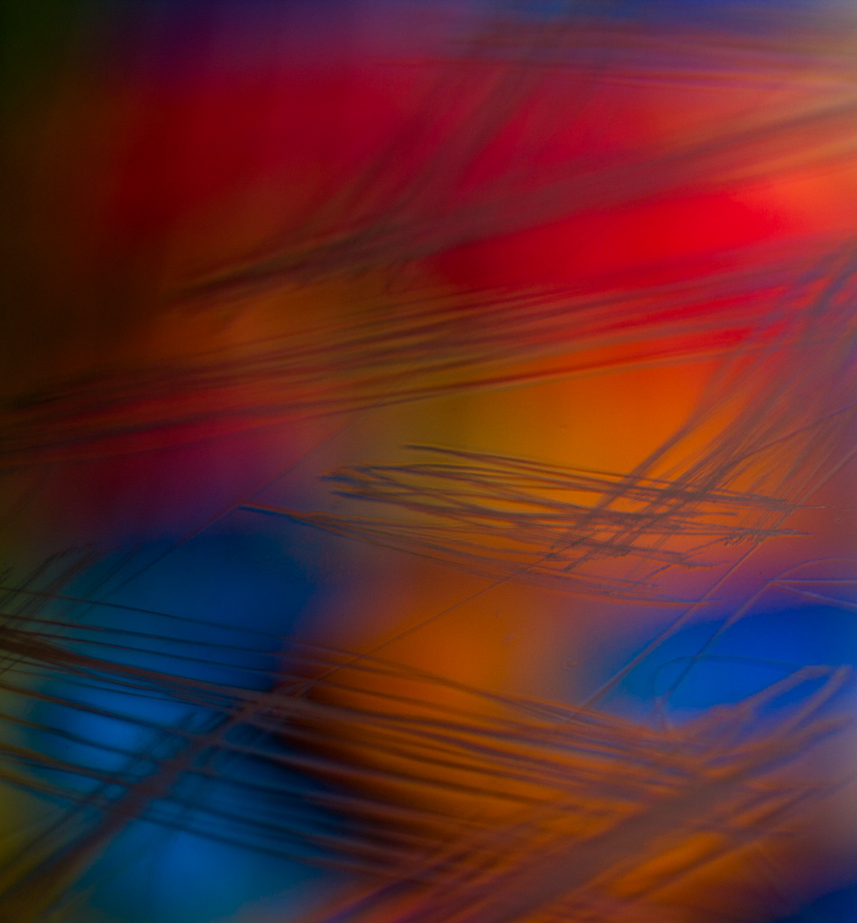 Equicolor.