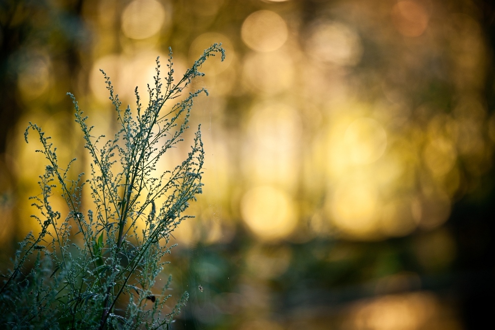 V Zlot Czytelnik�w Optyczne.pl