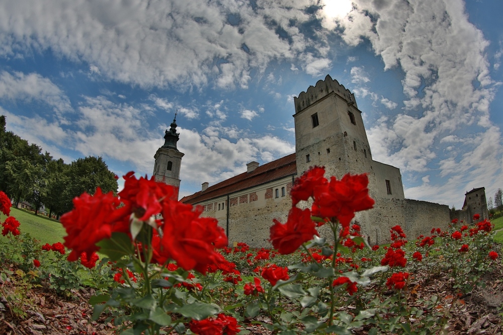 V Zlot Czytelnik�w Optyczne.pl