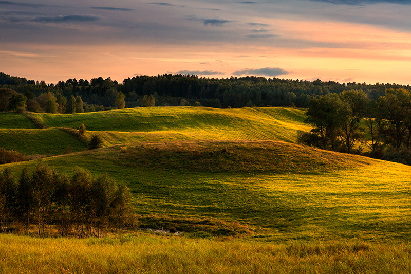 Mazury