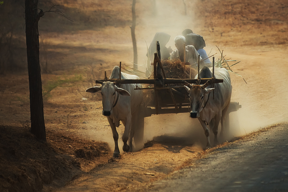 Myanmar - Birma