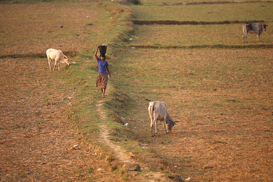Myanmar - Birma 10