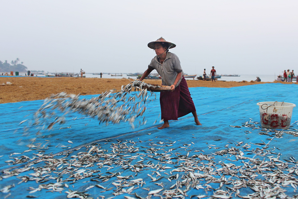 Myanmar - Birma 11