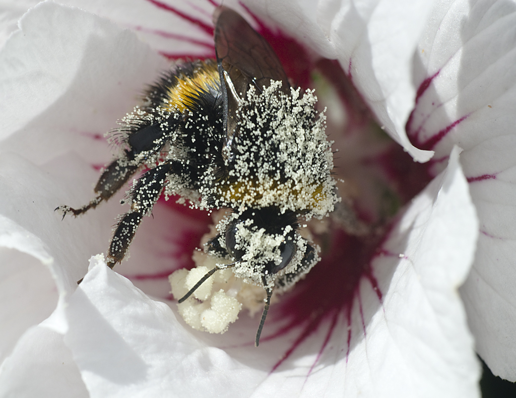 Ale si� upapra�am!